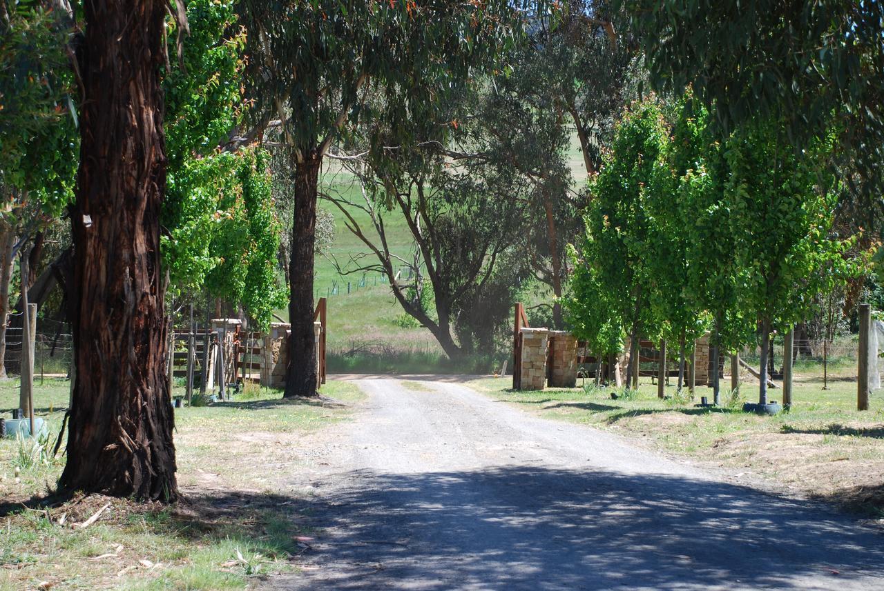 מריג'יג Bluegum Ridge Cottages מראה חיצוני תמונה