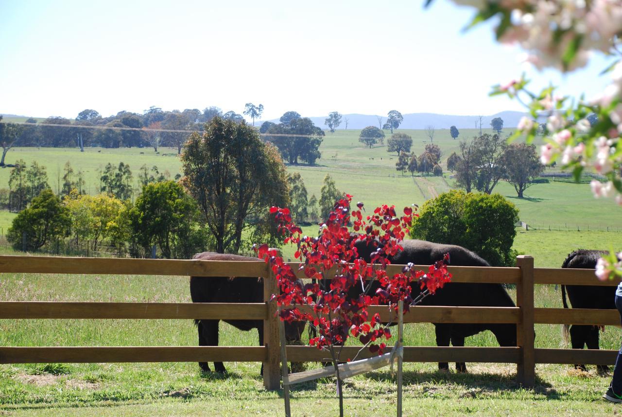 מריג'יג Bluegum Ridge Cottages מראה חיצוני תמונה