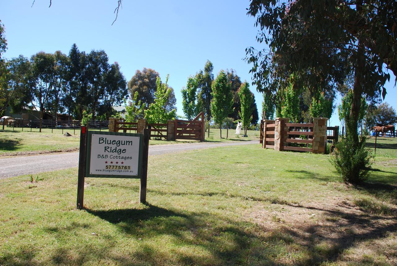 מריג'יג Bluegum Ridge Cottages מראה חיצוני תמונה