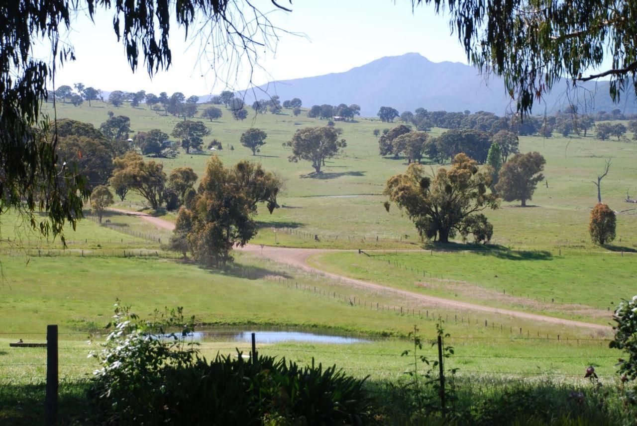 מריג'יג Bluegum Ridge Cottages חדר תמונה