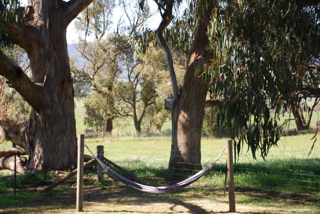 מריג'יג Bluegum Ridge Cottages חדר תמונה