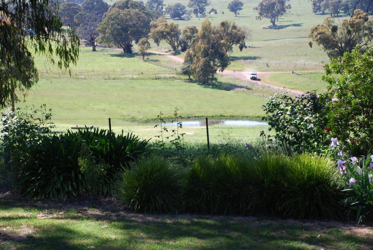 מריג'יג Bluegum Ridge Cottages חדר תמונה
